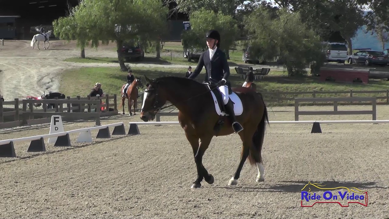 horseshoe bend 217S Amanda Boyce on Mercury JR Training Show Jumping Woodside May 2019