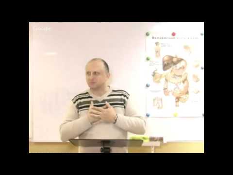 Бактерия Е.coli в мясе Бактерия Е.coli в мясе