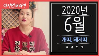 [용인 연화신당] 2020년 6월 띠별운세 "개띠,돼지띠"/ 연화신당 ☎️ 010-5801-3378 ☎️