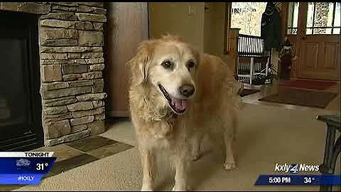 Safety warning: Why you should never plug space heaters into power strips