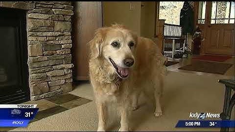 Safety warning: Why you should never plug space heaters into power strips