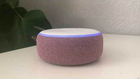 Alexa Skill Demo Video