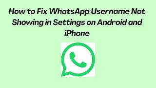 How to Fix WhatsApp Username Not Showing in Settings on Android and iPhone