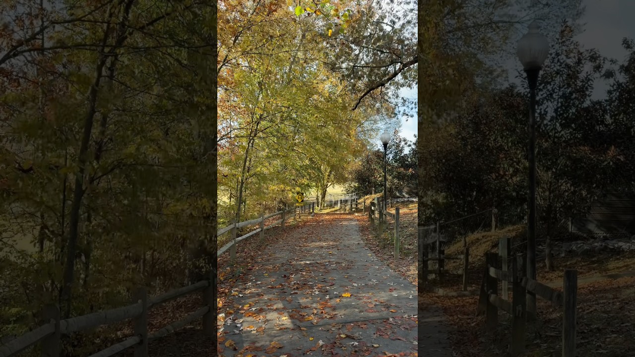 cozy fall weekend morning routine 💌🥞🍂🍯🐻 