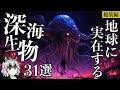 【総集編】地球に実在する信じられない深海生物31選