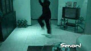 Simon Practice Shuffle