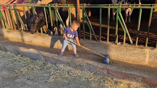 Arpa Elendi̇ Eki̇nler Eki̇lecek