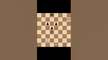 Daily Chess Combinations - No. 21 - #chess #puzzle #dailychess #shorts #0_algo_chess