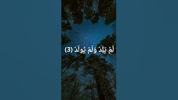 سورة الإخلاص    اكتب شيء تؤجر عليه