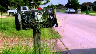 Laguna Vista Cleanup