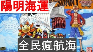 【全民瘋航海】《陽明海運》該賣了嗎？個案深入調查 #全民瘋交易 #陽明海運​ #凱特的投資筆記