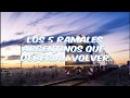 TOP: Los 5 Ramales Ferroviarios Argentinos que MERECEN volver