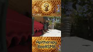 6th hive - BeeASMR & Apitherapy