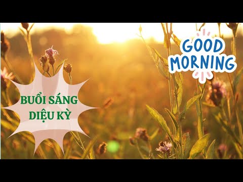 Video BUỔI SÁNG DIỆU KỲ l The Miracle Morning - youtube