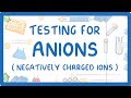 Anion Detection Tests Quiz