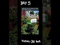 100 Bottle in 10 Days - version 2