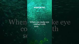 Celebrity The Power of Eye Contact: Unveiling the Psychology Profile