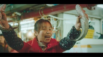 Skype Translator: Speak Chinese like a local