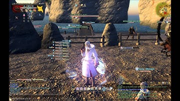 FFXIV Hamlet Defense Aleport 66k