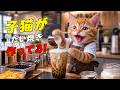 【感動】大好きなママに甘いドリンクを届ける！と一生懸命にミルクを注ぎ続けたここにゃんの奇跡の瞬間に大号泣😭💖✨