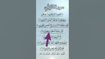 سورة التين  |EGZON IBRAHIMI VOICE  #egzonibrahimi #attin SURAH AT-TIN