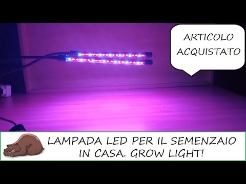 Video: Striscia LED Per Piante: Che Tipo Di Fitonastro UV Scegliere Per Evidenziare I Fiori? Strisce A Diodi A Spettro Completo E Altri Modelli Di LED