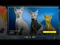 フォトナチェック 2026/06/19 【今日のアイテムショップ昨日なかったアイテム】【ロビーニュース】【競技:今日の大会スケジュール】#フォートナイト#fortnite#itemshop