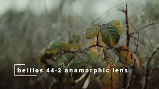 Why the Helios 44-2 Anamorphic Lens Will Blow Your Mind