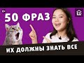 50 фраз на английском, которые должен знать каждый | EnglishDom