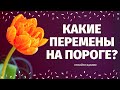 КАКИЕ ПЕРЕМЕНЫ НА ПОРОГЕ? КАК ИЗМЕНИТСЯ ВАША ЖИЗНЬ? ЧТО СПЕШИТ В ВАШУ ЖИЗНЬ? расклад на судьбу