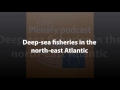 Deepsea fisheries in the northeast atlantic plenary podcast