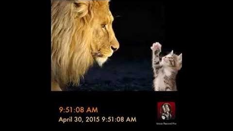 Helping Hovind to understand mutation rates