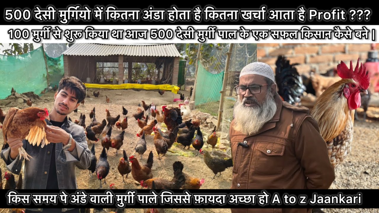 500 देसी मुर्गी अंडा उद्देश्य से पालने में खर्चा क्या आता है | Desi poultry farming | Egg purpose