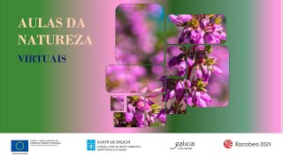 Aulas da Natureza Virtuais - Aula do Courel