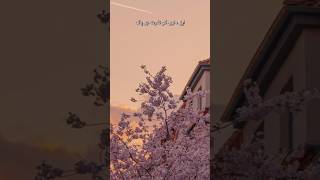 Apny Dillon ko nafrat Sy pak krlein🫀 #MTJ#islamicreminders #trendingshorts #viralshortvideo