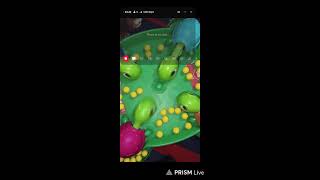 Live streaming of Yt bot x