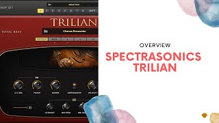 Spectrasonics Trilian 1.5 Update - YouTube