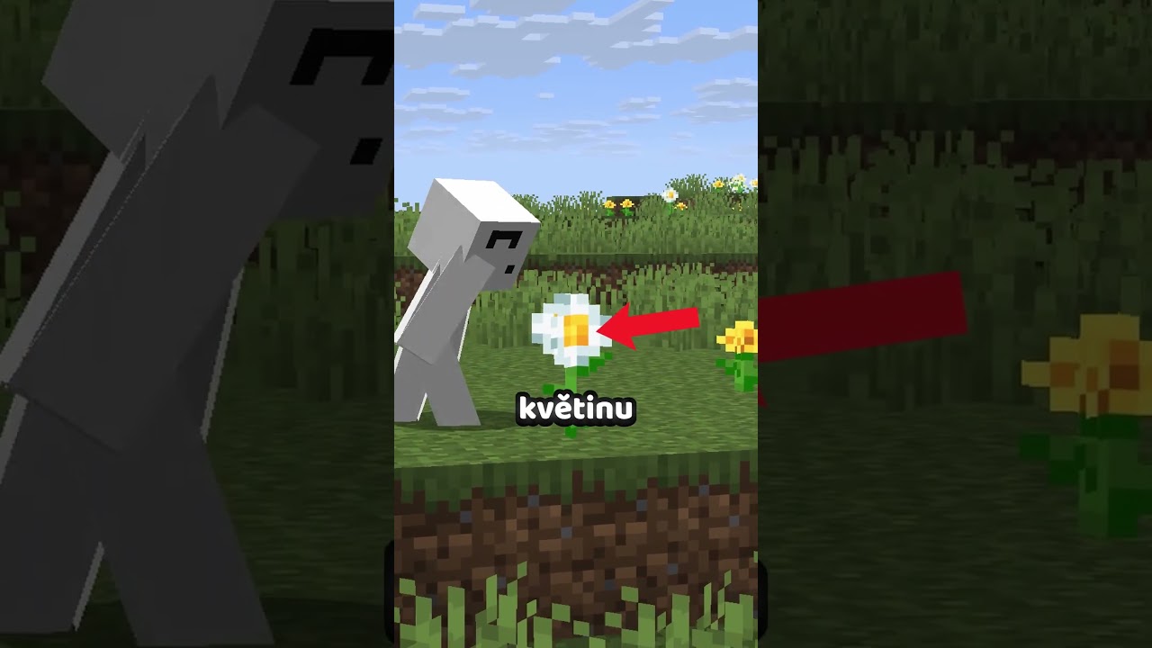 Vajíčková placka v Minecraftu?