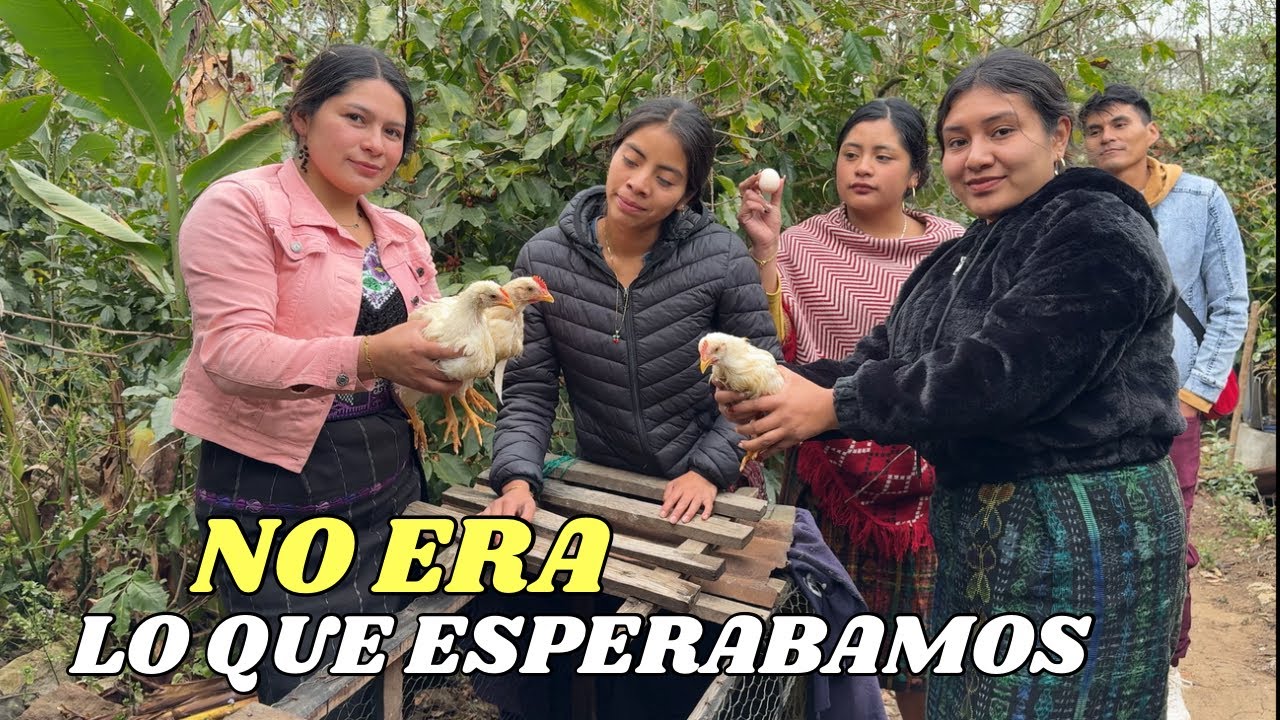 👉🏼Llegamos A La Casa De BLANCA, Para Ver Su Crianza De Pollos🐥