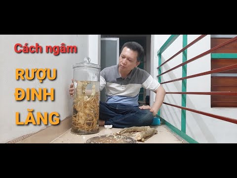 Video Hướng Dẫn Tự Ngâm Rượu Đinh Lăng - youtube