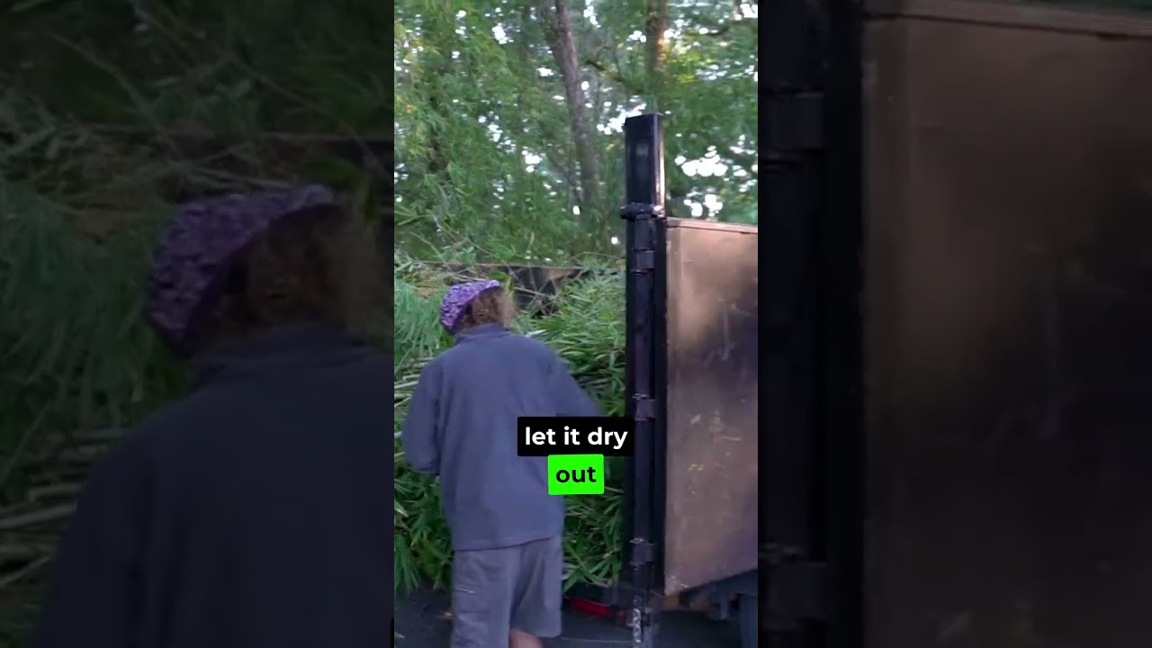One Bamboo Into 100
