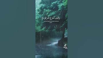 قرآن كريم راحة نفسية سبحان الله العظيم استغفر الله الحمد لله