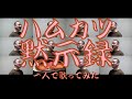 ハムカツ黙示録 【BEYOOOOONDS】 一人で歌ってみた