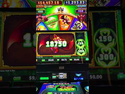 CATS, HATS AND MORE BATS 😳 MASSIVE PAYOUT!