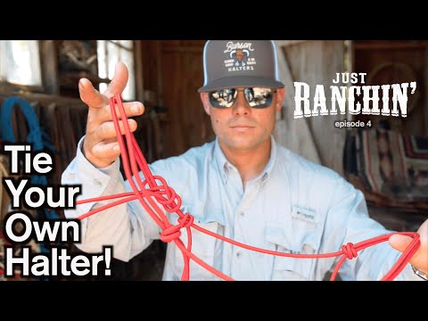 How to tie a halter by True Burson - Just Ranchin