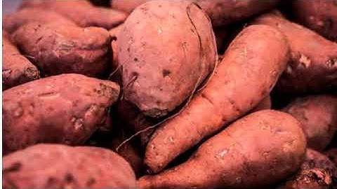¿Es adecuado comer boniato o batata cruda? Cuidado con la dioscorina