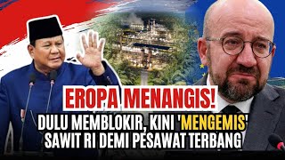EROPA MENANGIS! Dulu Memblokir, Kini 'Mengemis' Sawit RI Demi Pesawat Terbang