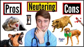The Spay And Neuter Controversy - Everything YOU Need To Know! | | Pros & Cons Of Neutering Your Pet