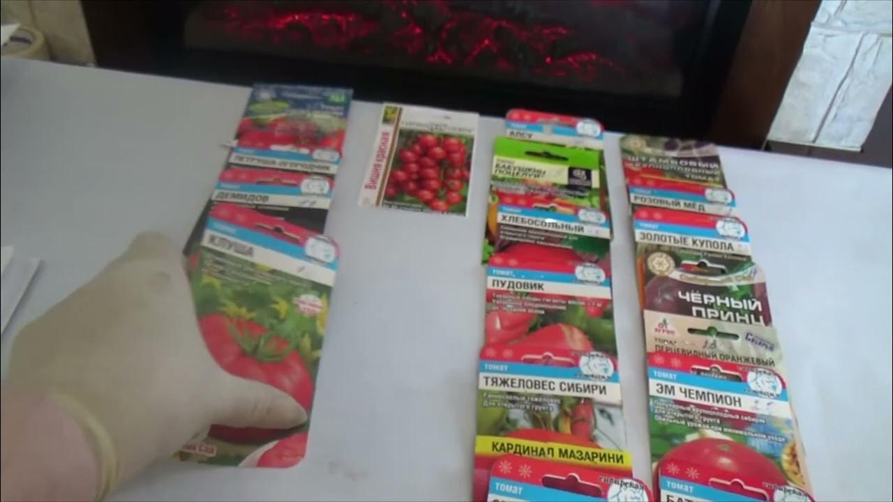 ЛУЧШИЕ ТОМАТЫ ДЛЯ ОТКРЫТОГО ГРУНТА - YouTube