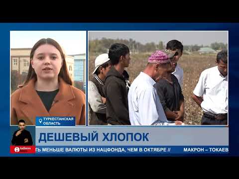 Вырастили себе в